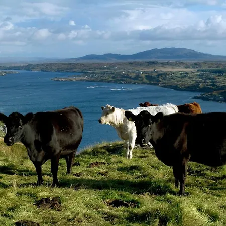 Nyaraló 360 - Clifden