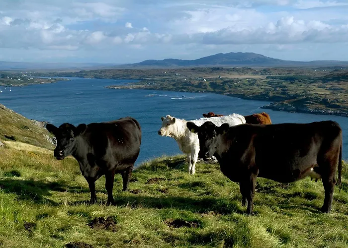 Vakantiehuis 360 - Clifden
